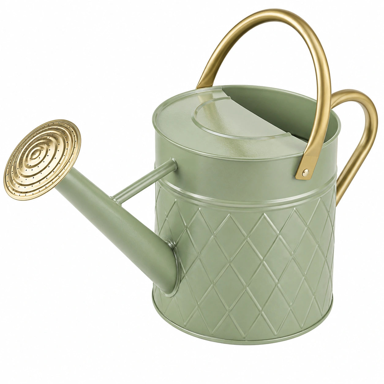 Arrosoir vert doré 5l avec poignée ergonomique