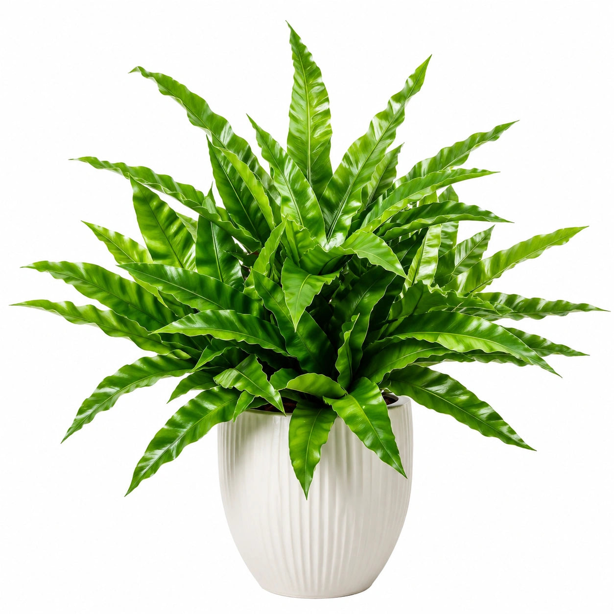 Fougère artificielle verte en pot décoratif